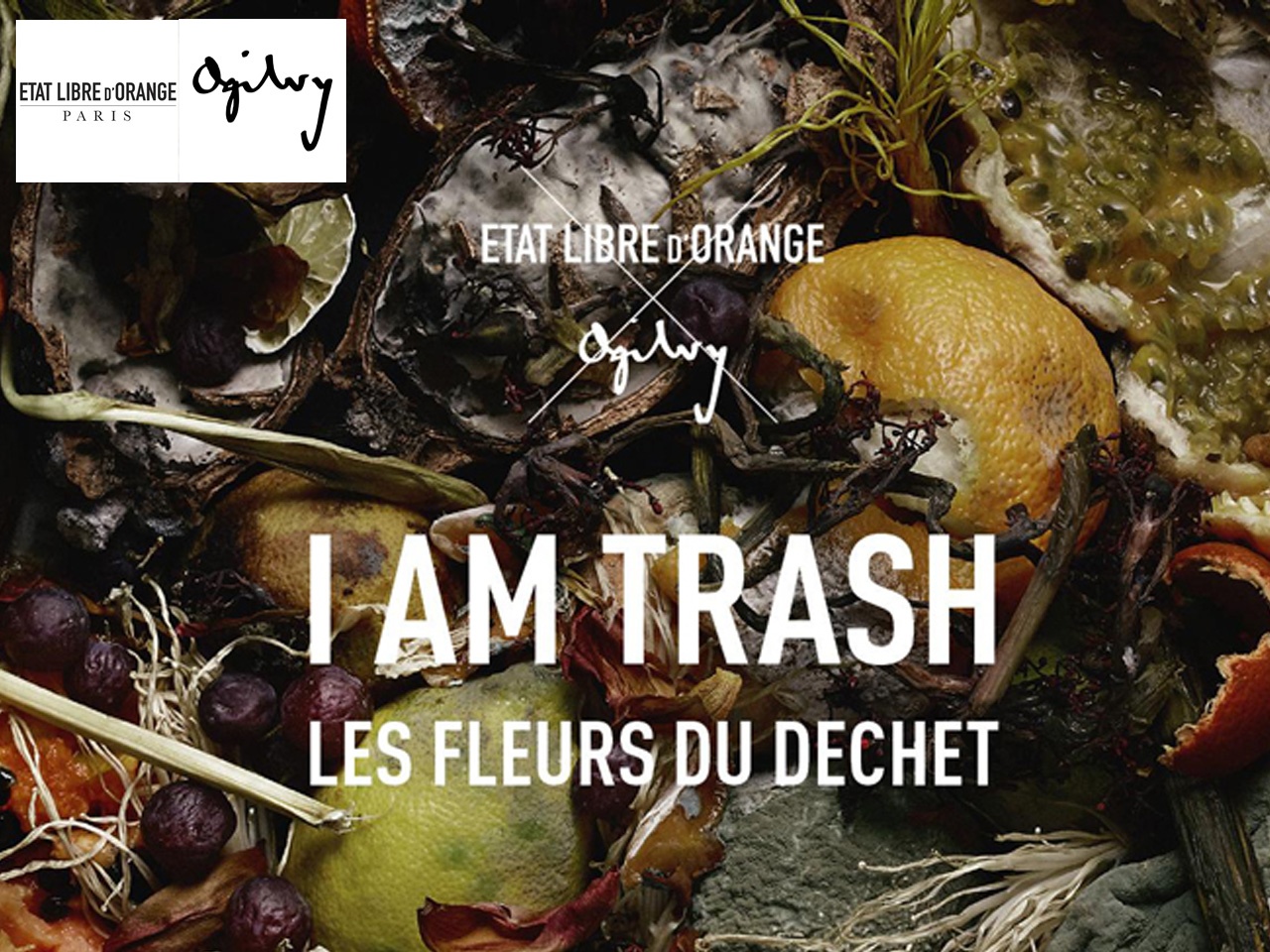 Etat Libre d’Orange et Ogilvy lancent le premier parfum issu des déchets de la parfumerie